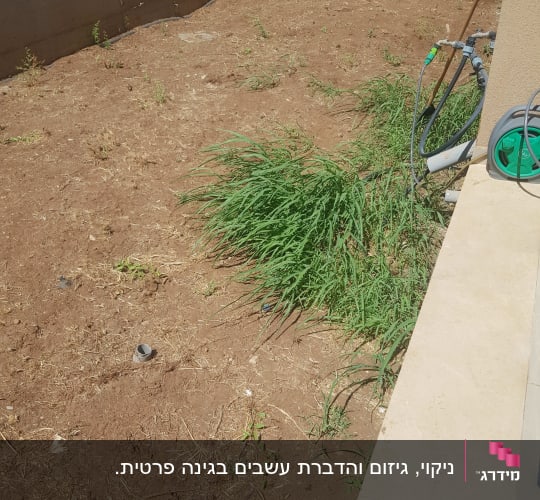 צינור השקיה על אדמה עם עשבים ירוקים
